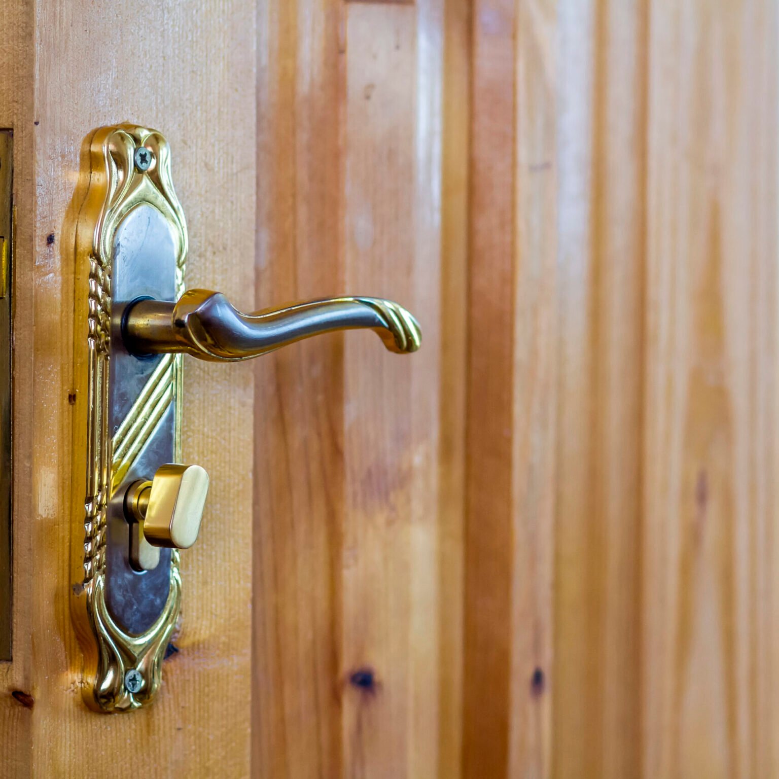 Vintage door handle on wooden doors close-up