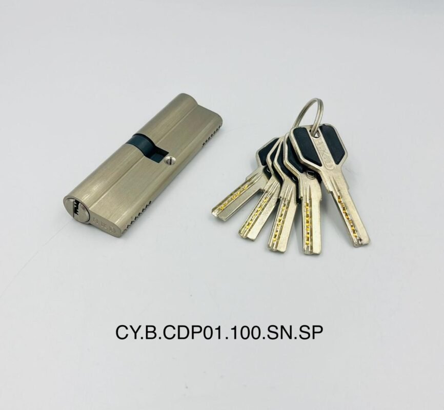 CY.B.CDP01.100.SN.SP